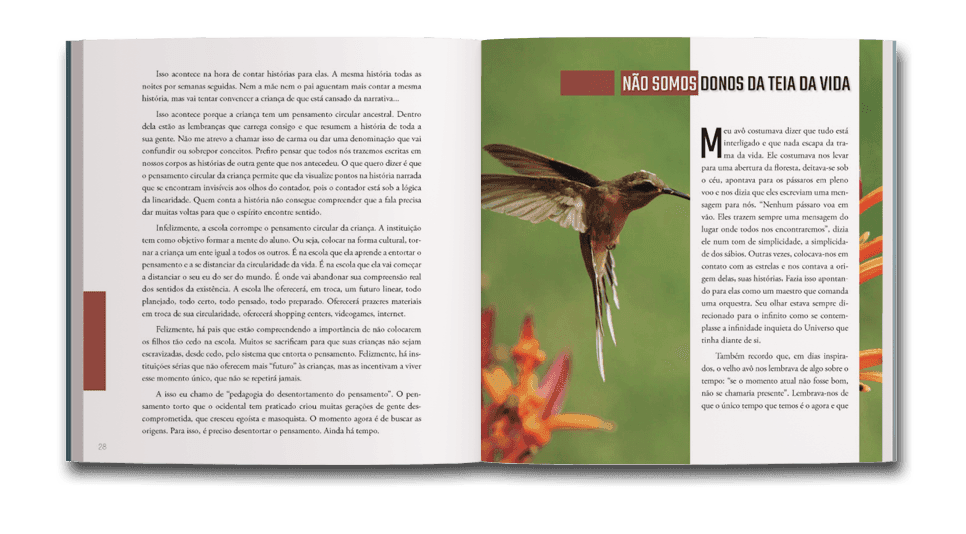 Miolo do livro Das coisas que aprendi: Versão Coffee table book