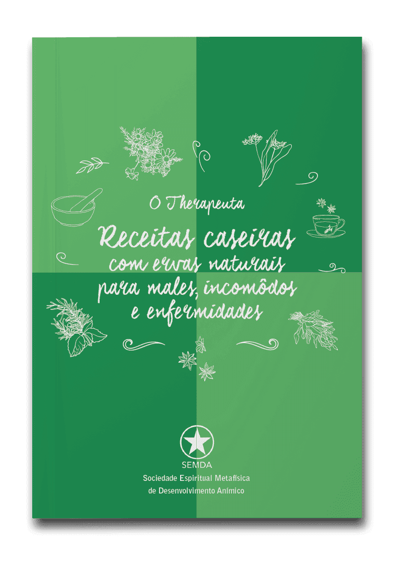 Capa do livro O therapeuta: receitas caseiras com ervas naturais para males, incômodos e enfermidades
