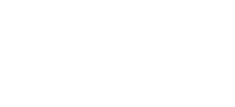 O therapeuta: receitas caseiras com ervas naturais