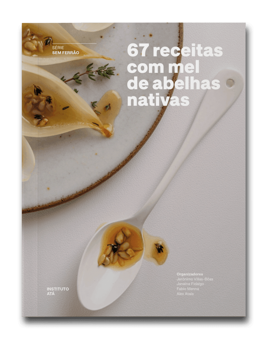 Capa de livro 67 receitas com mel de abelhas nativas, do Instituto Atá