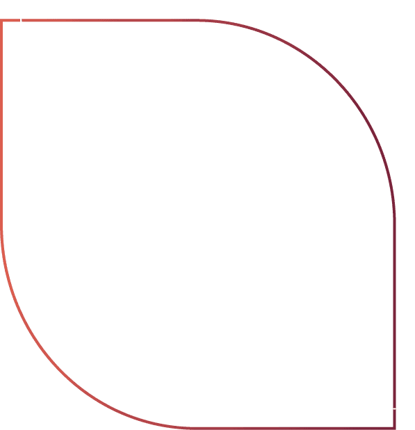 Grafismo de pétalas