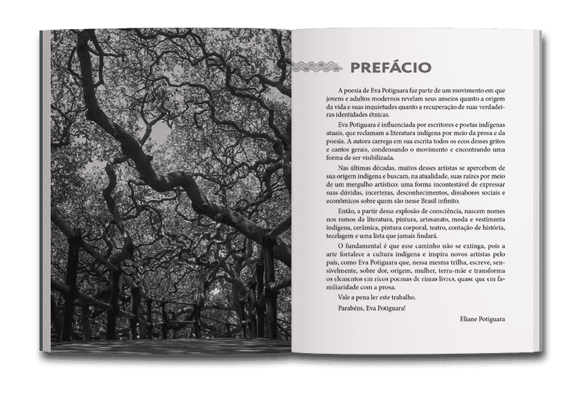 prefácio do livro abyayala membyra nhe engara