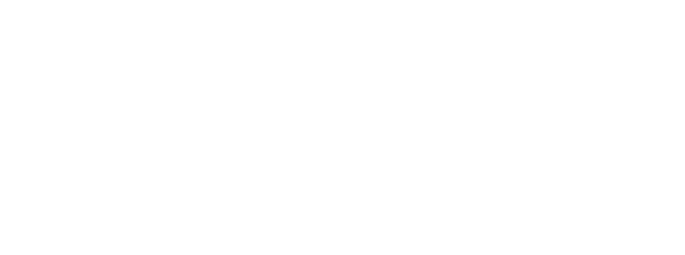 Como funciona a ficção