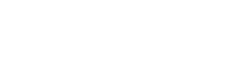 PROGRAMA BIOTRONIK LEADERSHIP LATAM