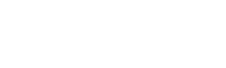 Luz, câmera, ação  Guia do diretor