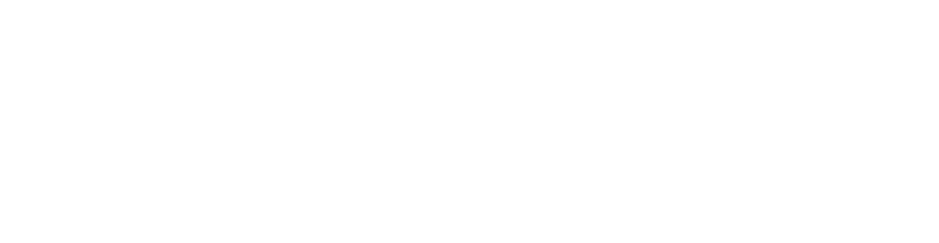 Passaporte: língua portuguesa