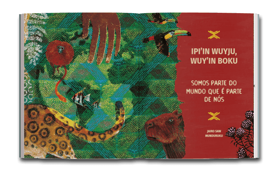 Página dupla de abertura do livro Mercúrio na Amazônia