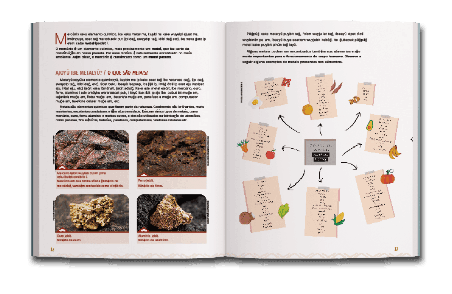 Página dupla de miolo do livro Mercúrio na Amazônia