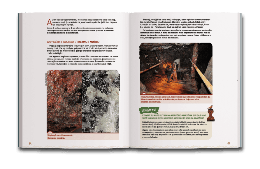 Página dupla de miolo do livro Mercúrio na Amazônia