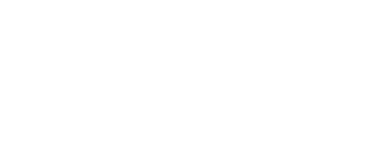 A sabedoria da floresta e o poder das águas