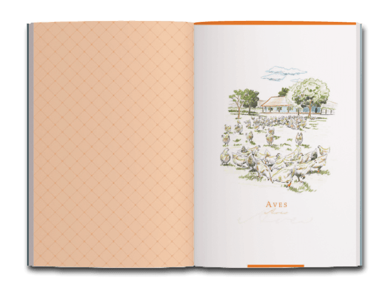 Abertura da seção de aves do livro Dona Benta: comer bem