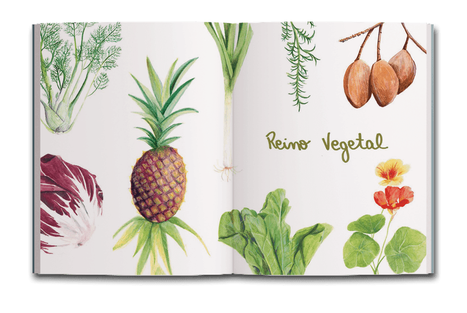Dupla de abertura da seção Reino Vegetal do livro Jardim comestível